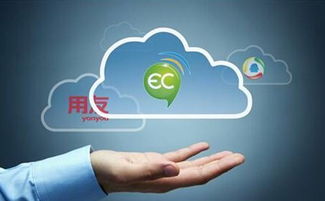 大品牌的管理軟件真的就好嗎？