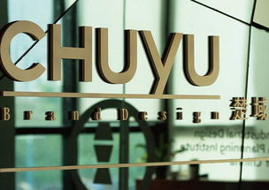 楚域品牌管理機構(gòu)設(shè)計作品案例 企業(yè)管理領(lǐng)域品牌視覺戰(zhàn)略實踐